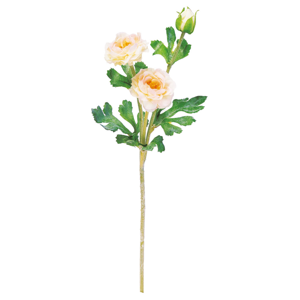 A-32240 ミニラナンキュラス×２　つぼみ×１