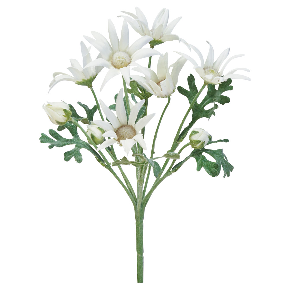 A-32306 エーデルワイス×６　つぼみ×４