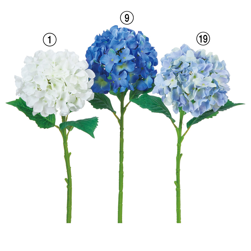 A-32617 ハイドランジア