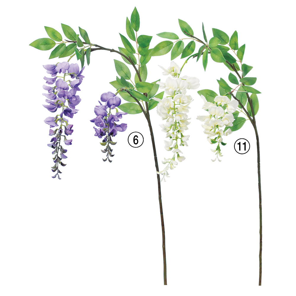 A-32841 ウィステリア×２