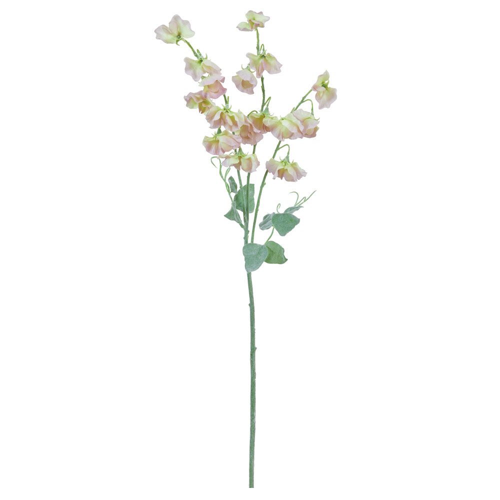 A-33222 スイトピー×７