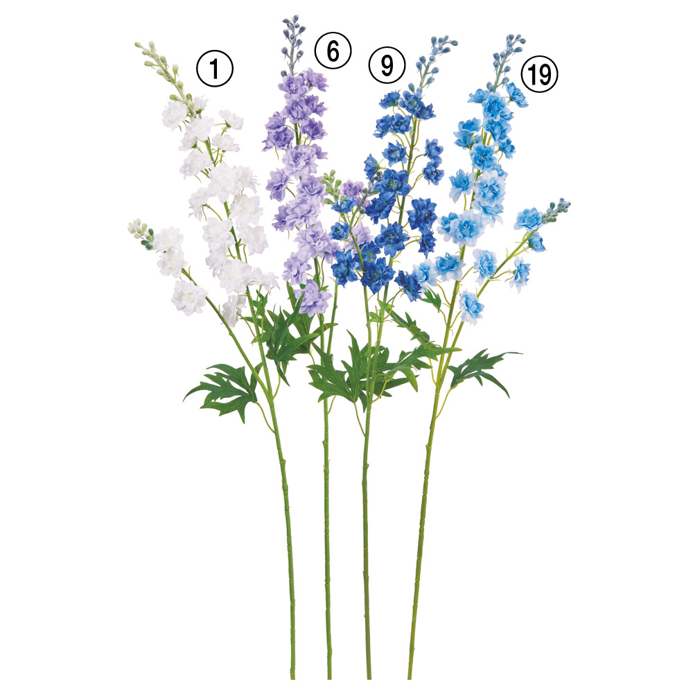 A-33622 デルフィニウム