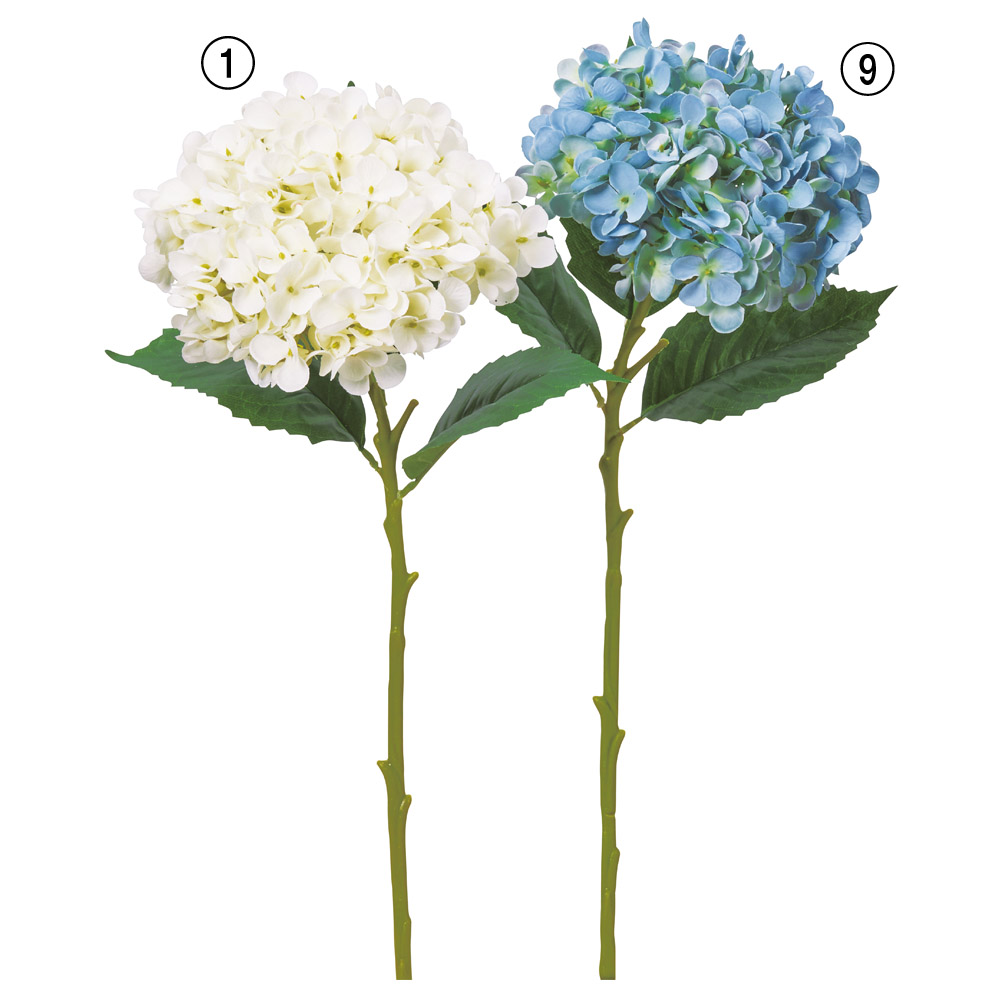 A-34116 ハイドランジア