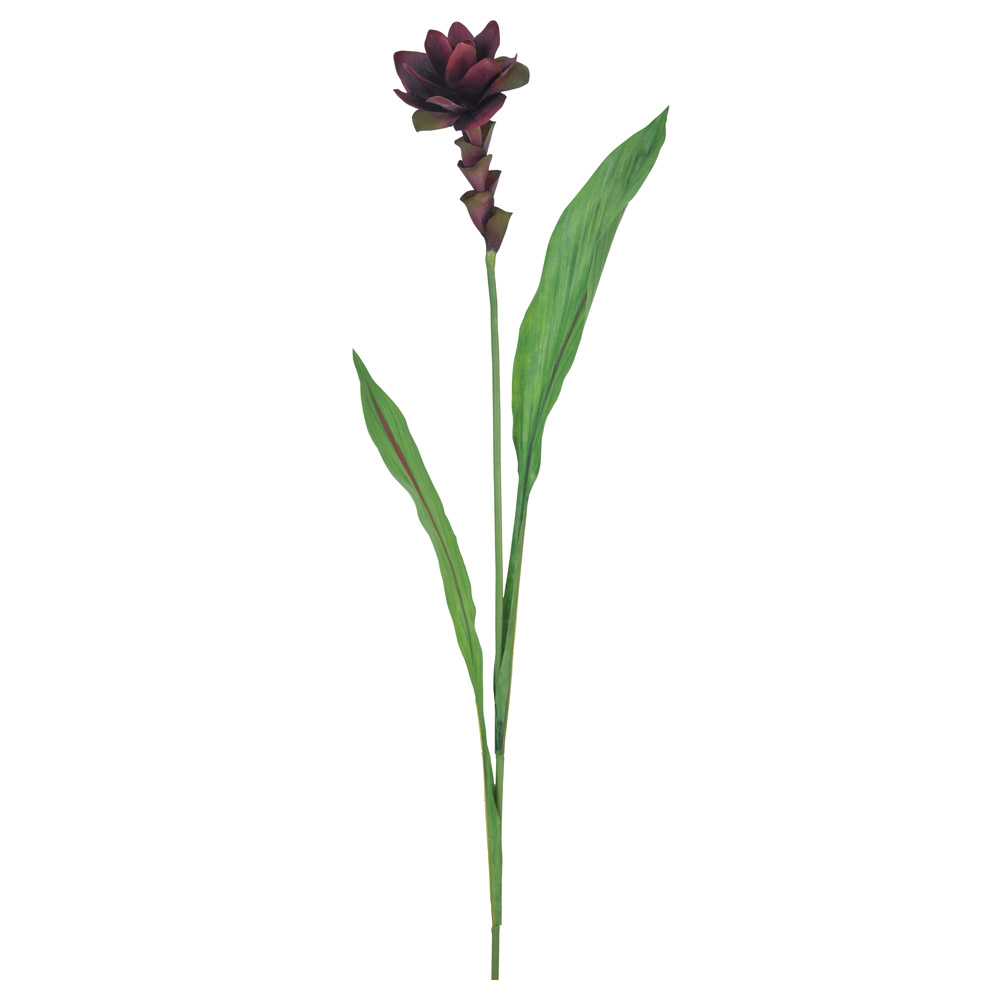 A-34122 ジンジャー