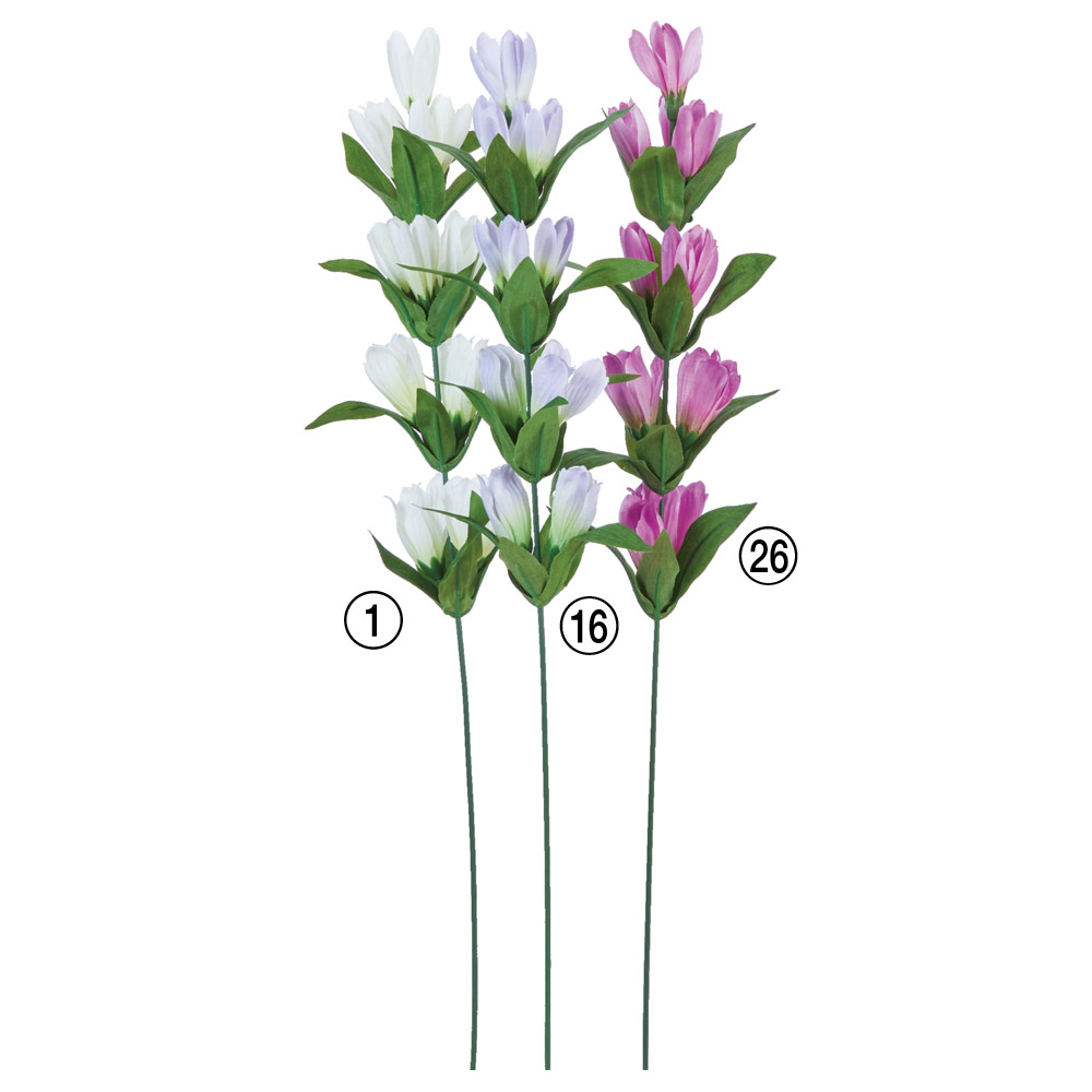 A-34262 リンドウ