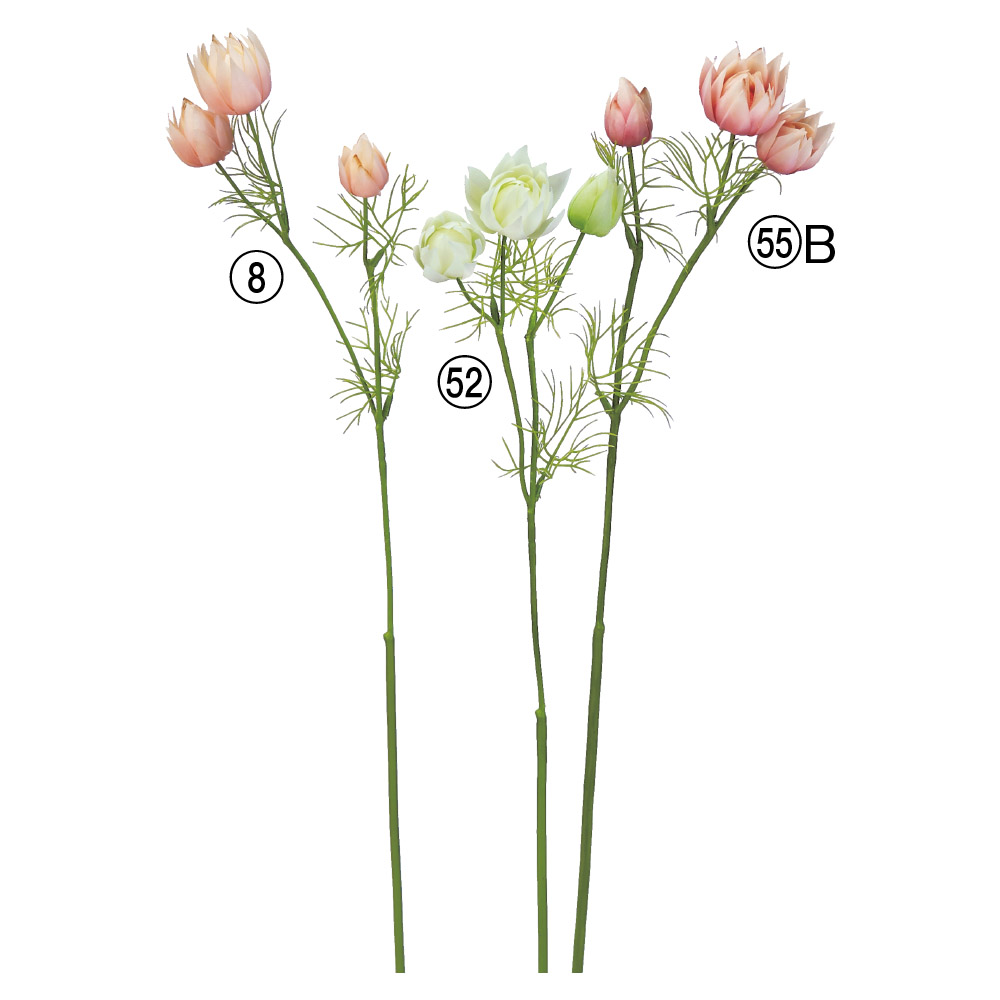 A-34313 セルリア×３