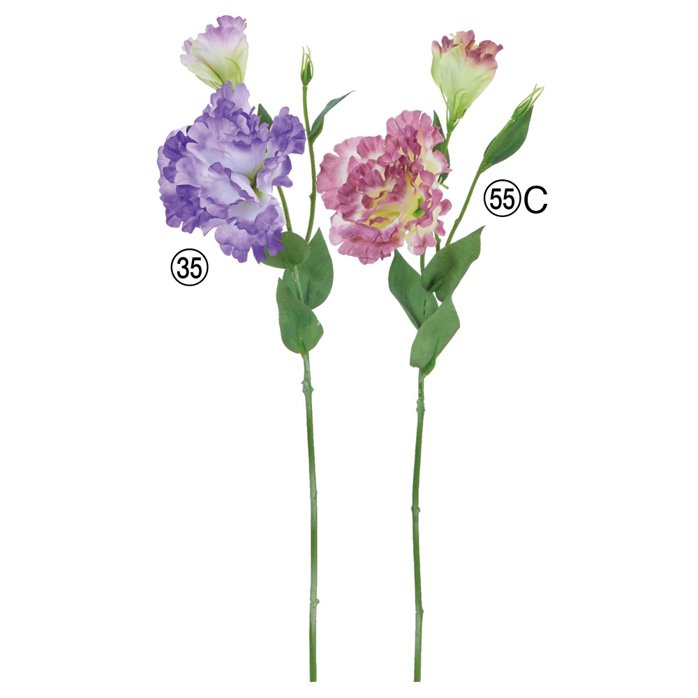 A-34349 トルコギキョウ×１　つぼみ×２