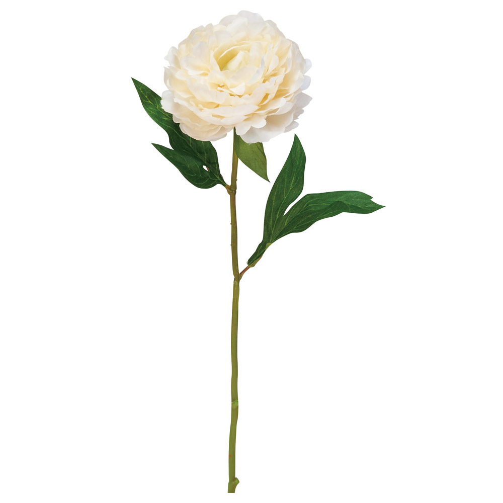 A-34378 ピオニー