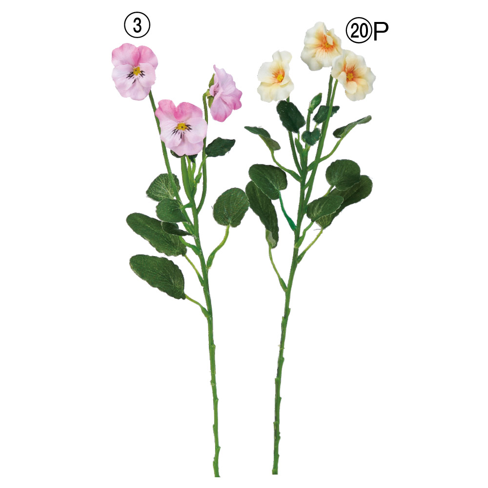 A-34383 パンジー×３