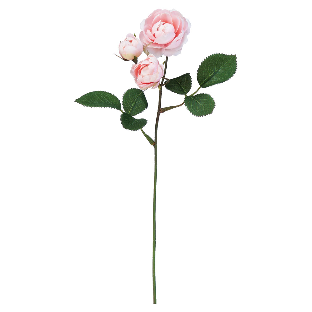 A-34489 ローズ×３