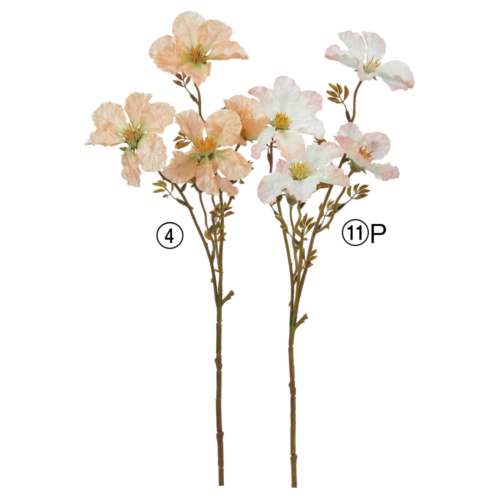 A-34539 ワイルドフラワー×５