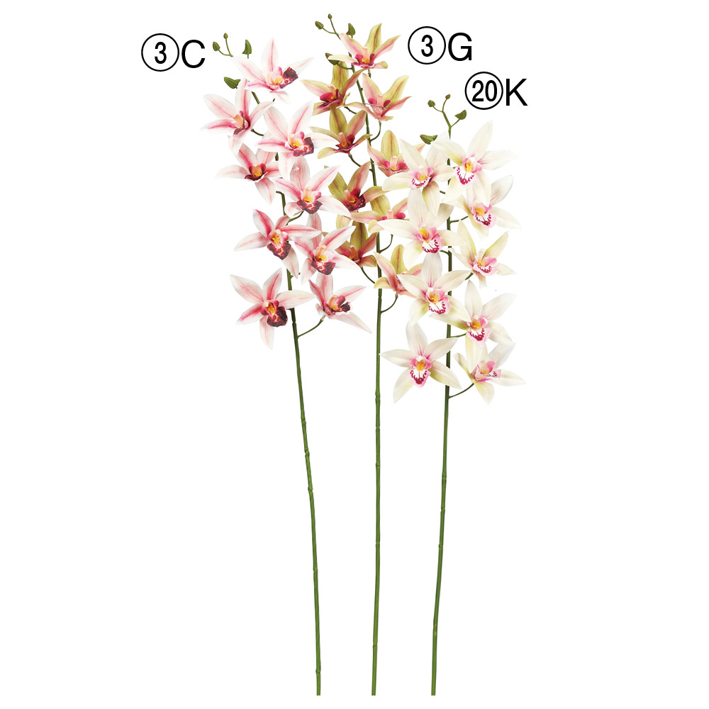 A-34544 シンビジューム×９　つぼみ×４