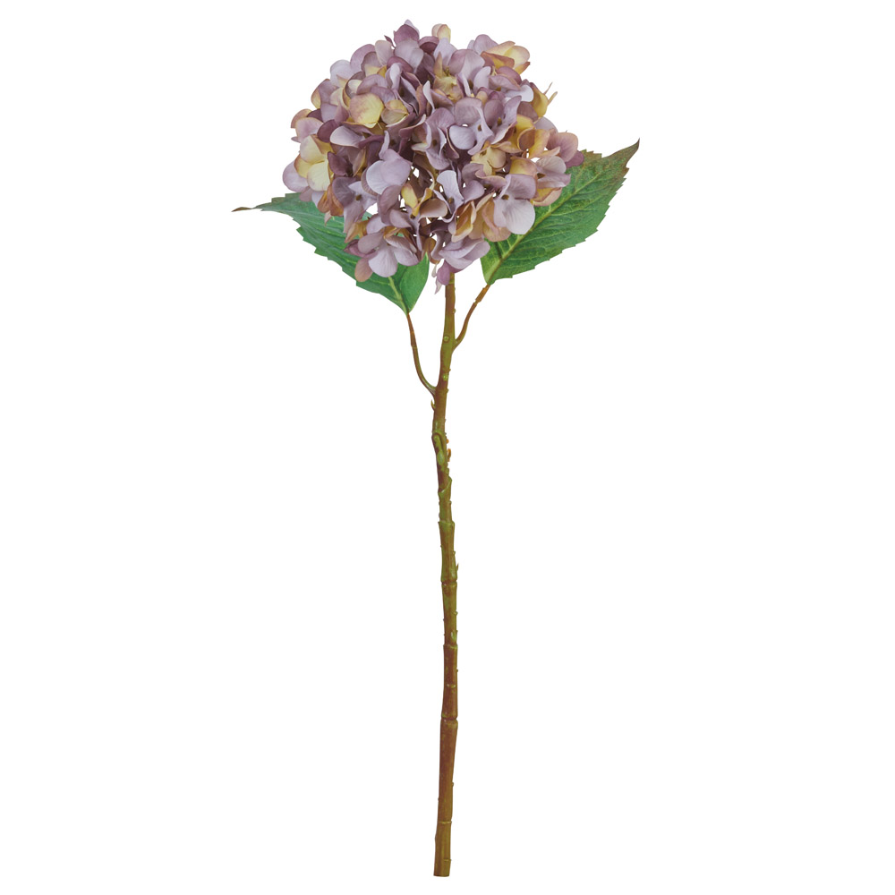 A-34568 ハイドランジア