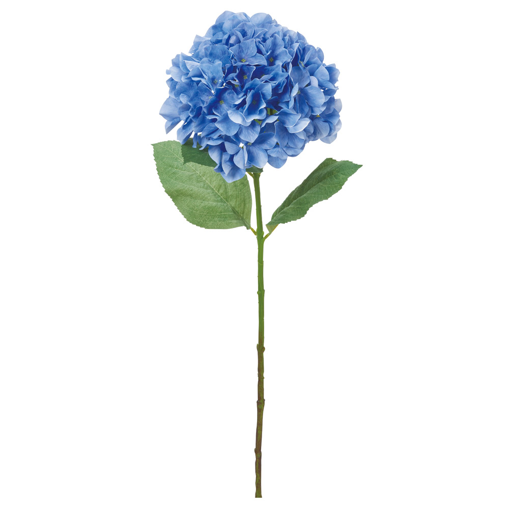 A-34591 ハイドランジア