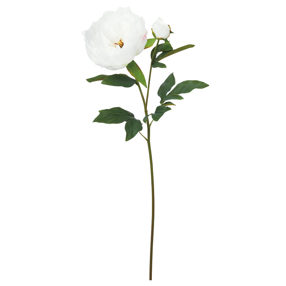 A-34601 ピオニー×１　つぼみ×１