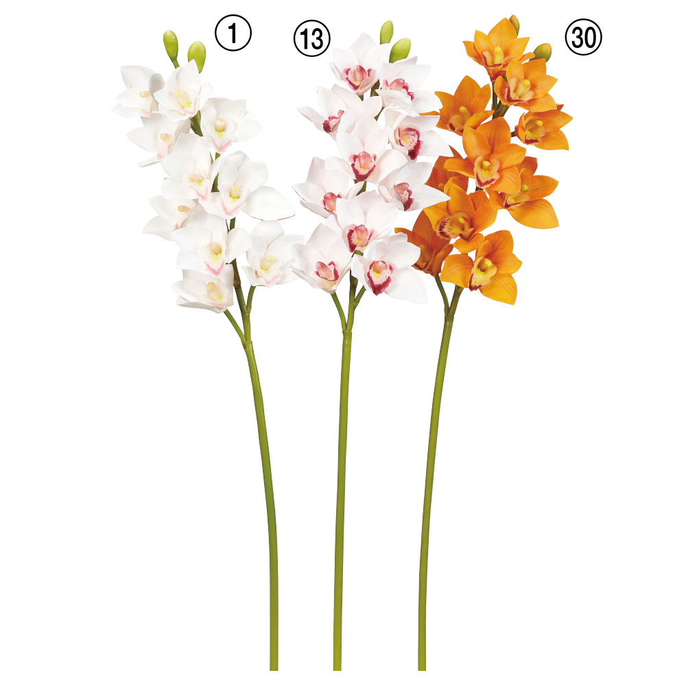 A-34607 シンビジューム×１０　つぼみ×２