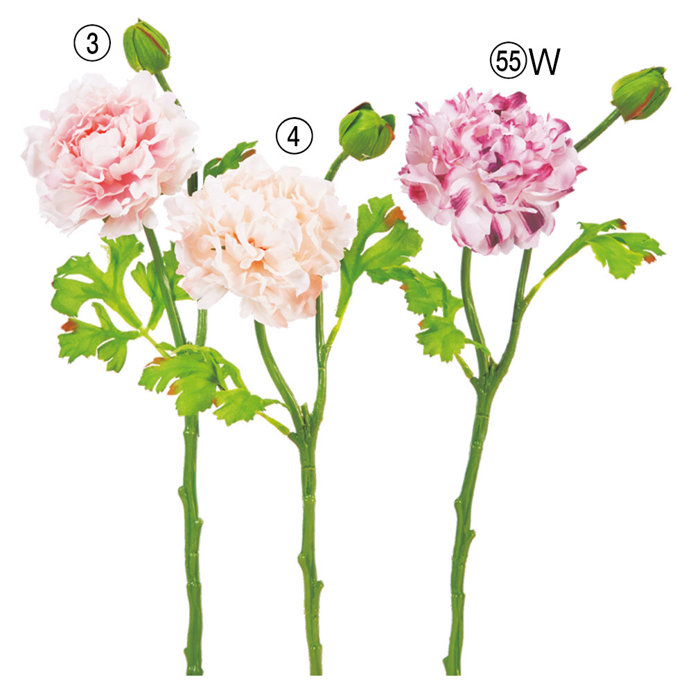 A-34615 ラナンキュラス×１　つぼみ×１