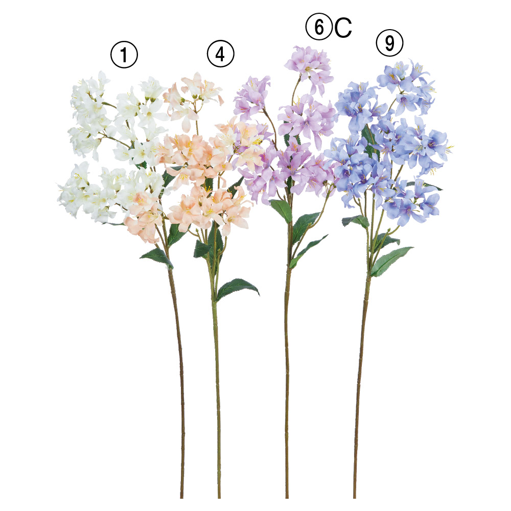 A-34709 ハニーサックルＸ４２