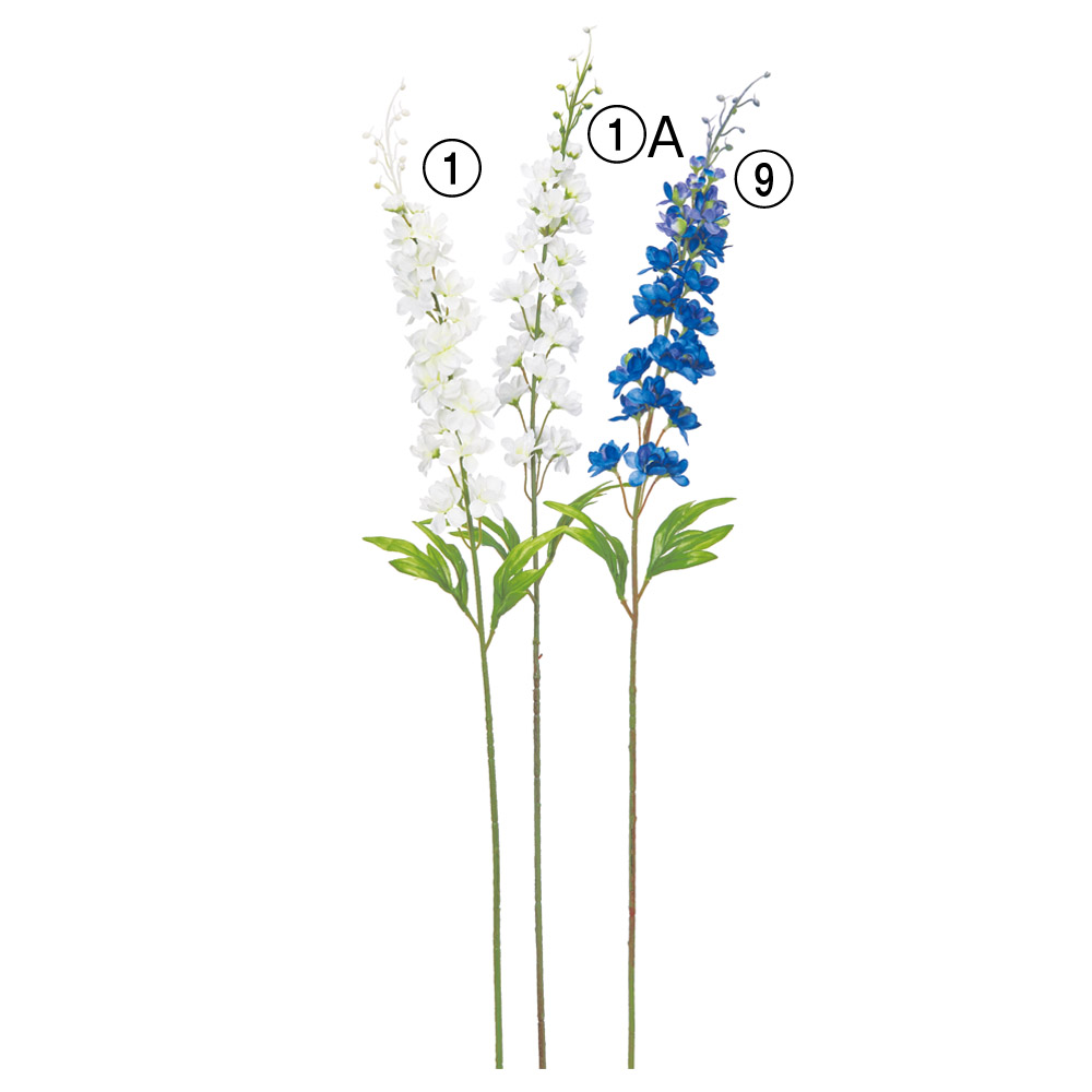 A-34711 デルフィニウム