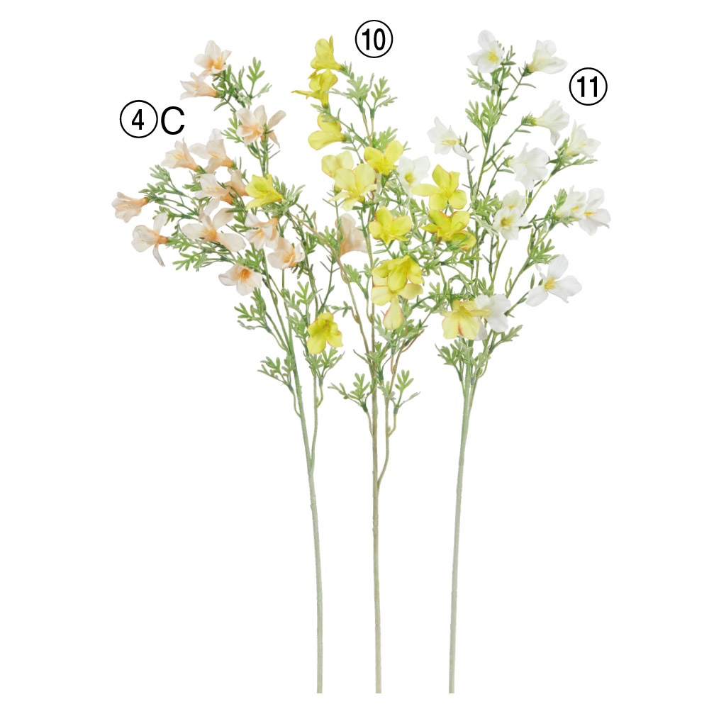 A-34733 カンパニュラＸ１５