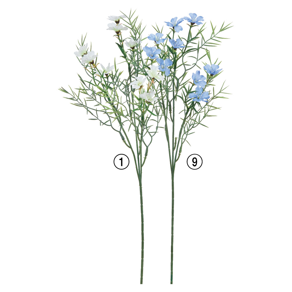 A-34734 ワイルドフラワーＸ９