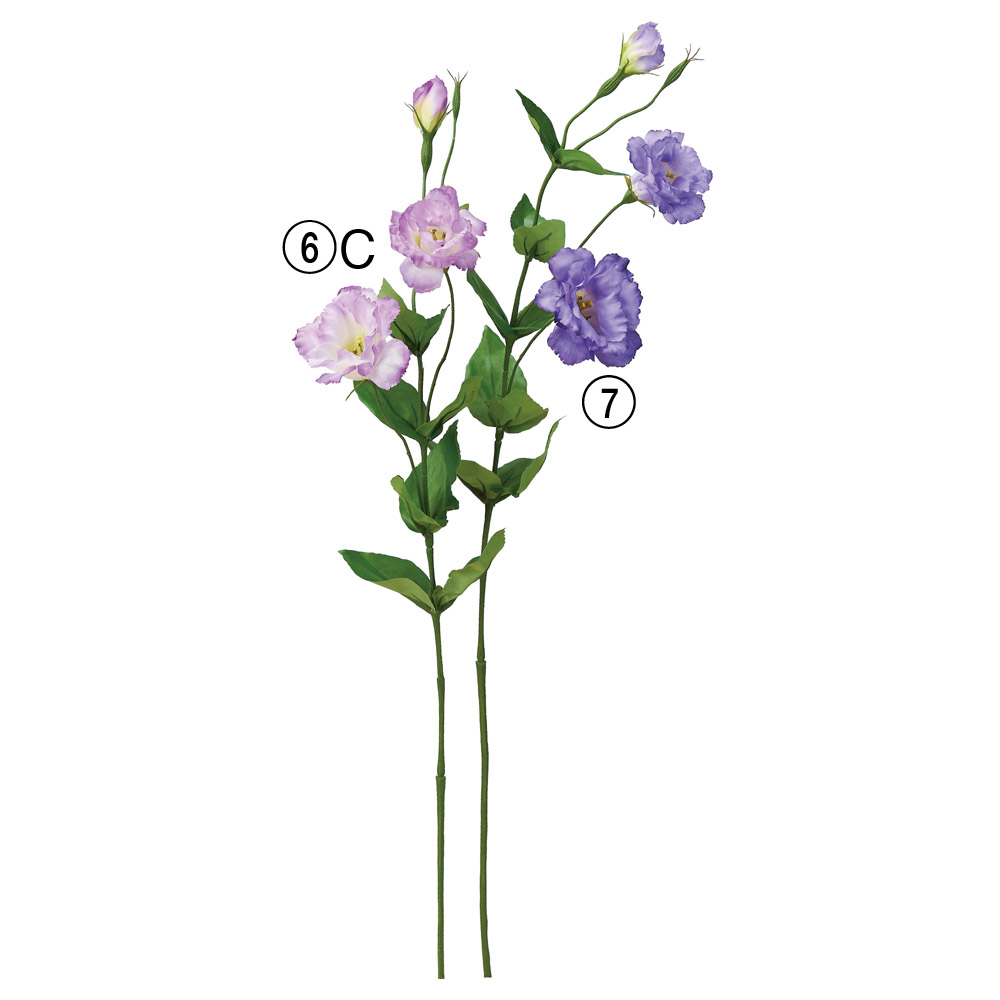 A-34737 トルコギキョウＸ２　つぼみＸ２