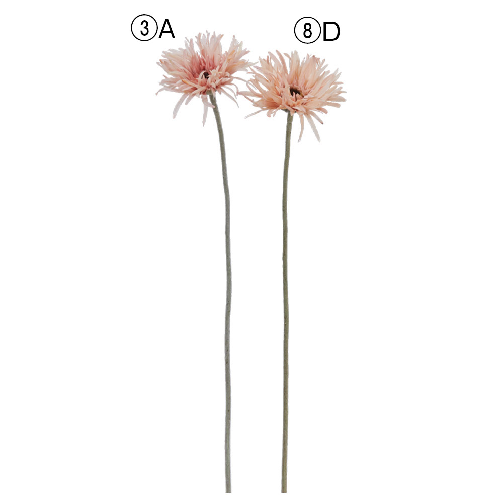 A-34780 ガーベラ