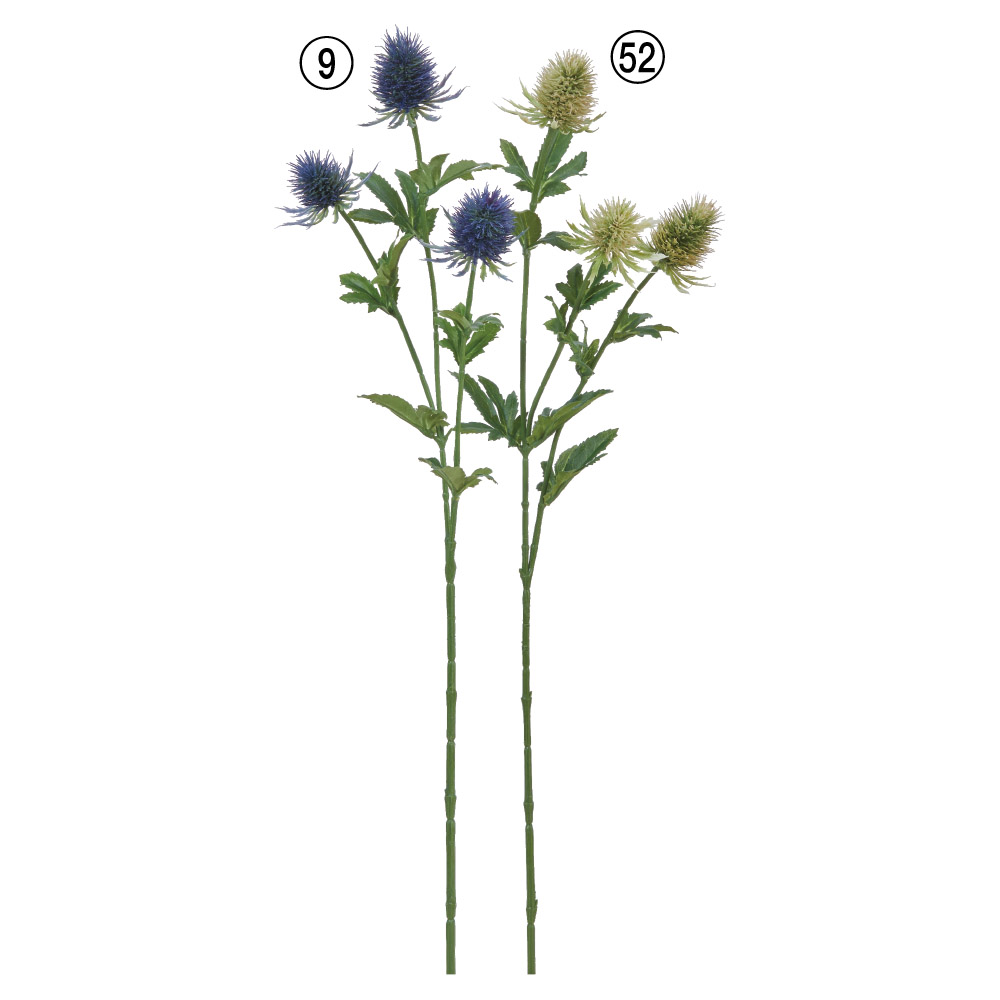 A-34785 エリンジウムＸ３