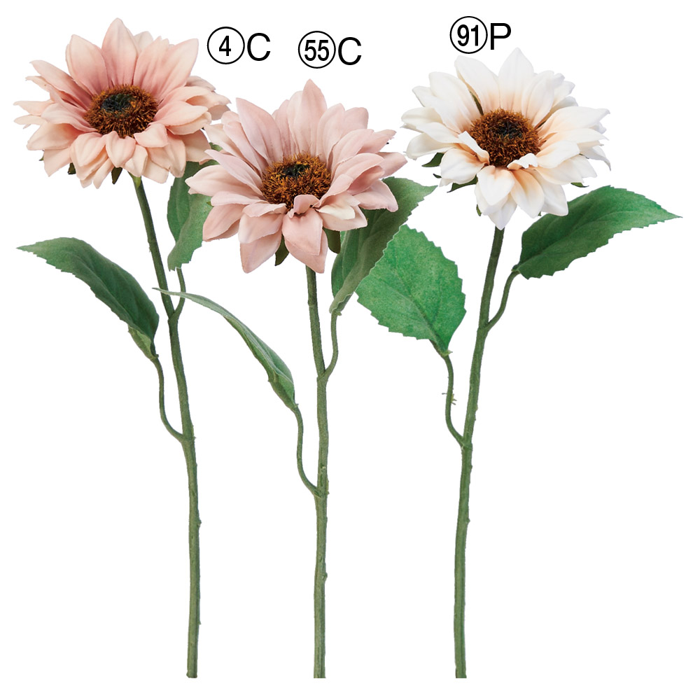 A-34809 サンフラワー