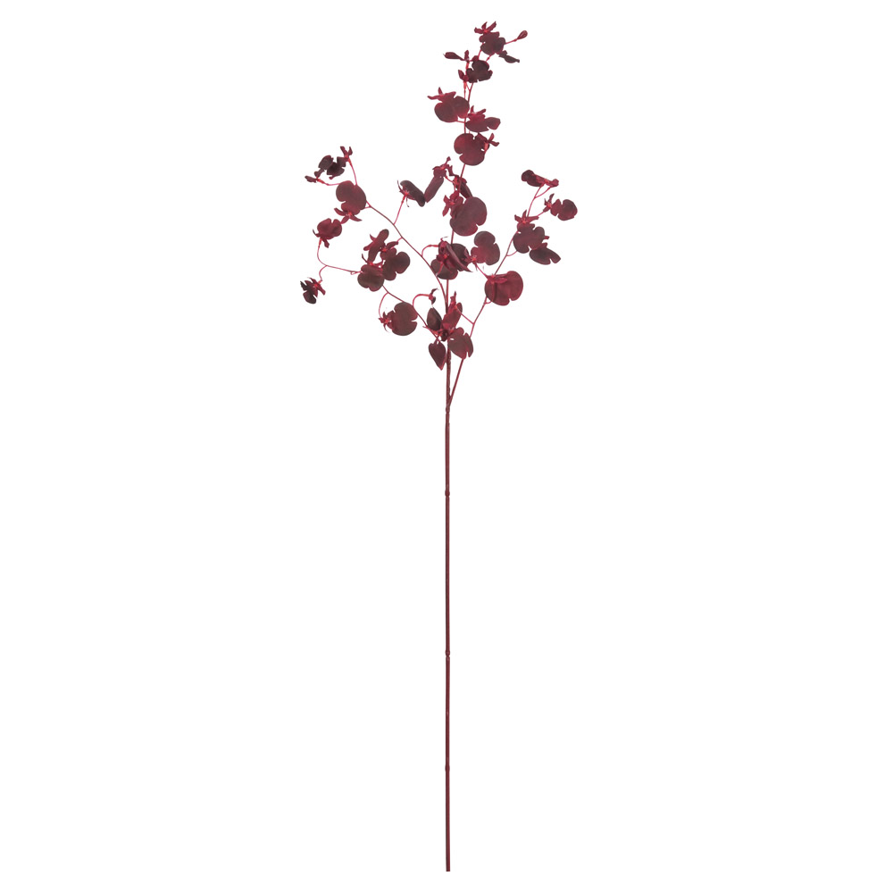 A-34835 オンシジュームＸ３２