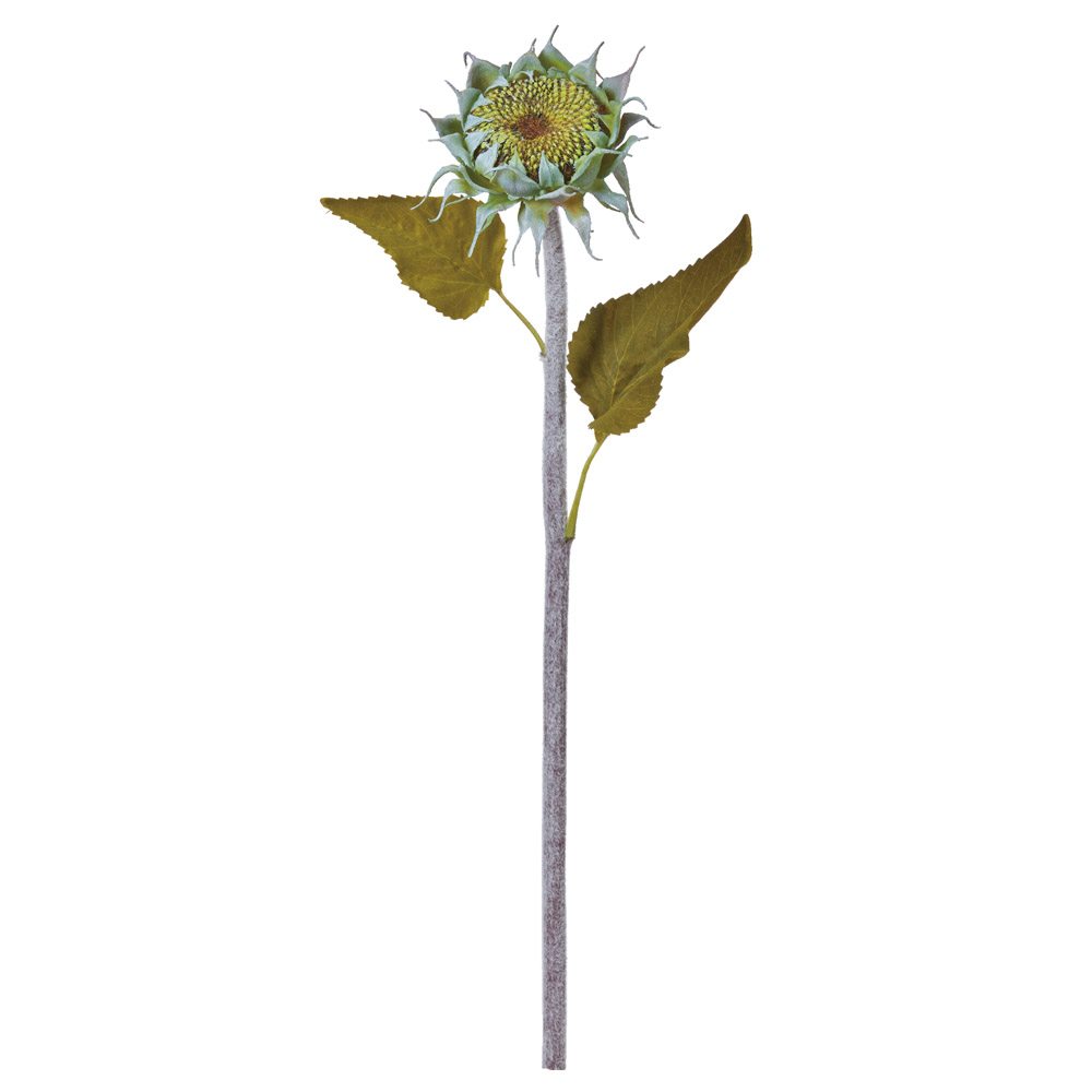 A-34860 サンフラワーシード