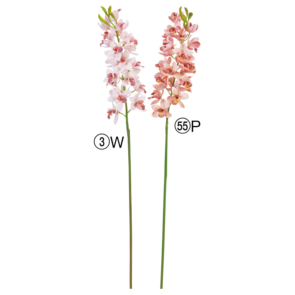 A-34931 シンビジューム×２１　つぼみ×４