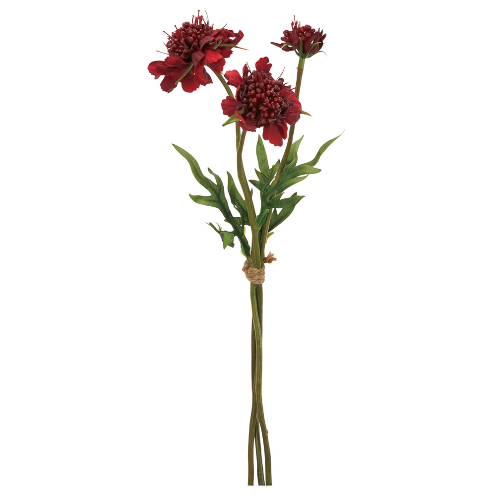 A-34954 スカビオサバンチ