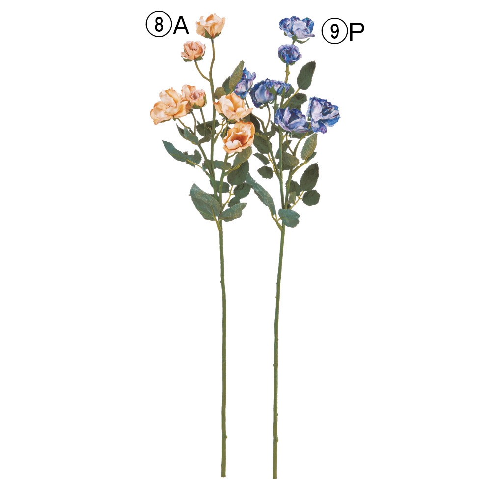 A-34973 ローズ×７