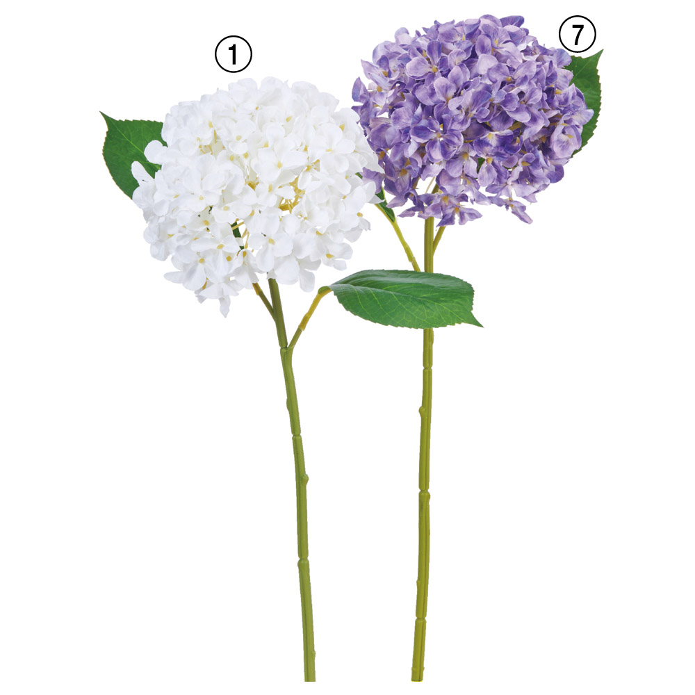 A-35182 ハイドランジア