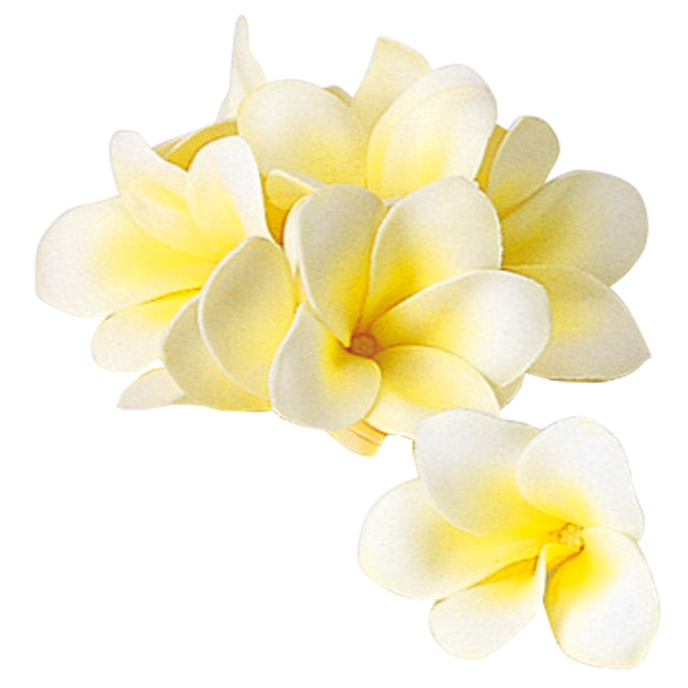 A-36121 プルメリア（１箱８輪入）