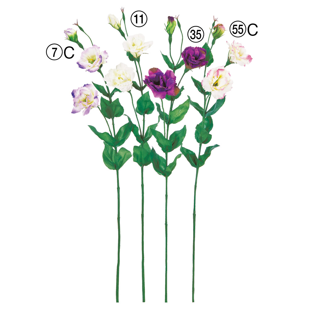 A-36127 トルコギキョウ×２　つぼみ×１