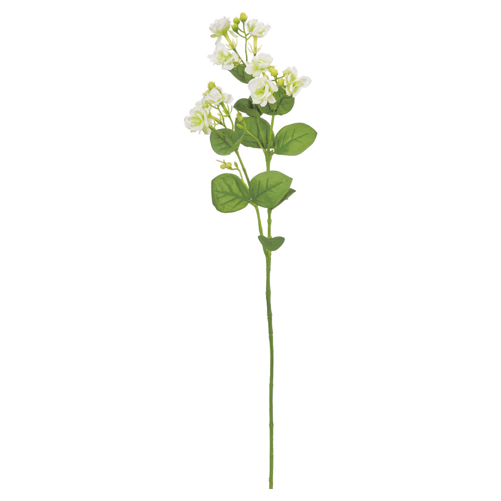 A-39591 ジャスミン×９　つぼみ×１９