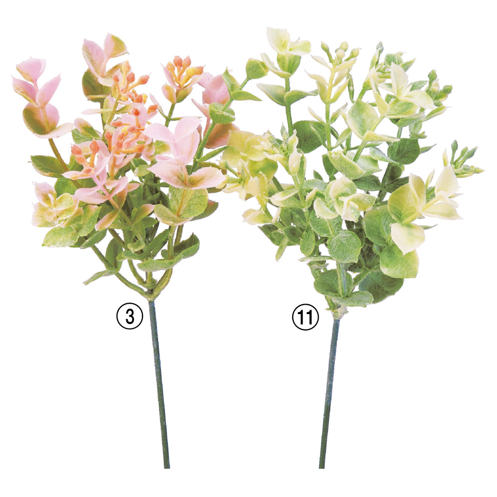 A-41455 ユーカリピック