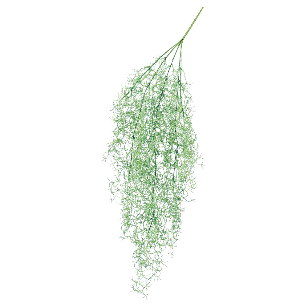 A-42642 スパニッシュモス