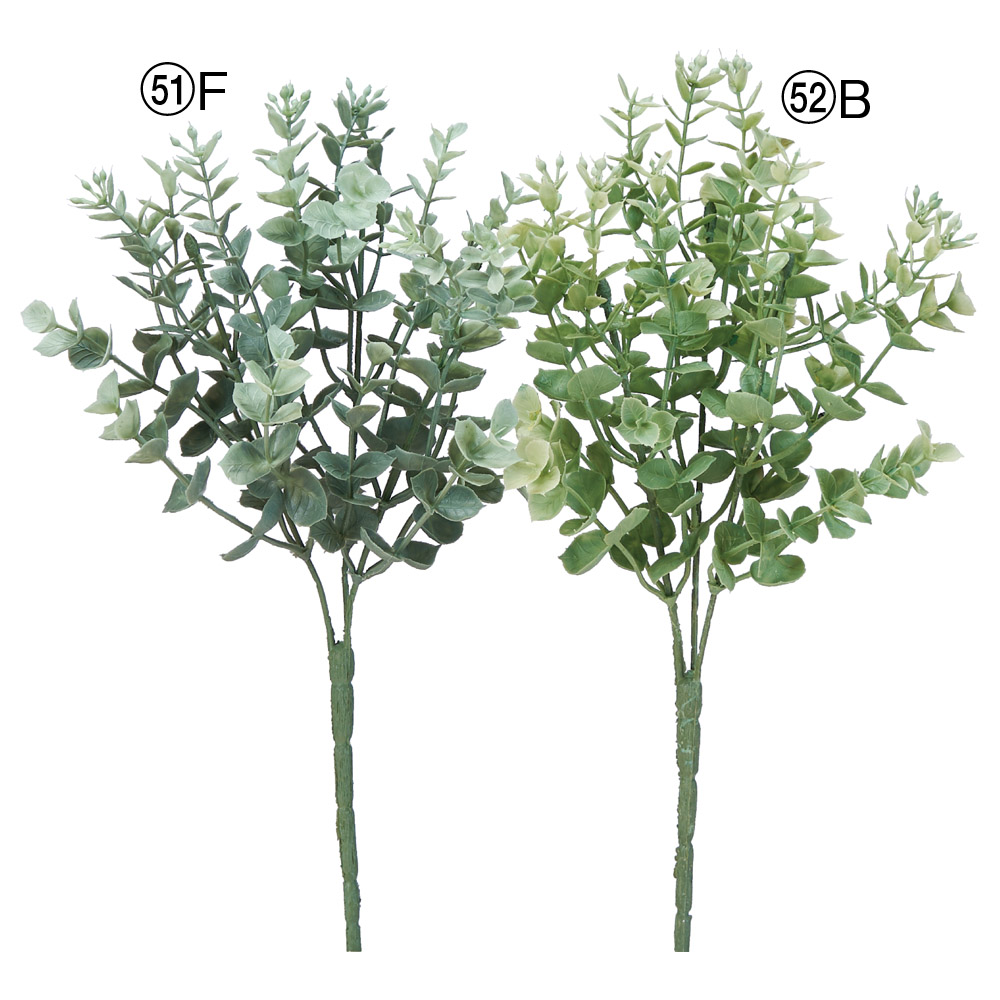 A-42725 ユーカリブッシュ