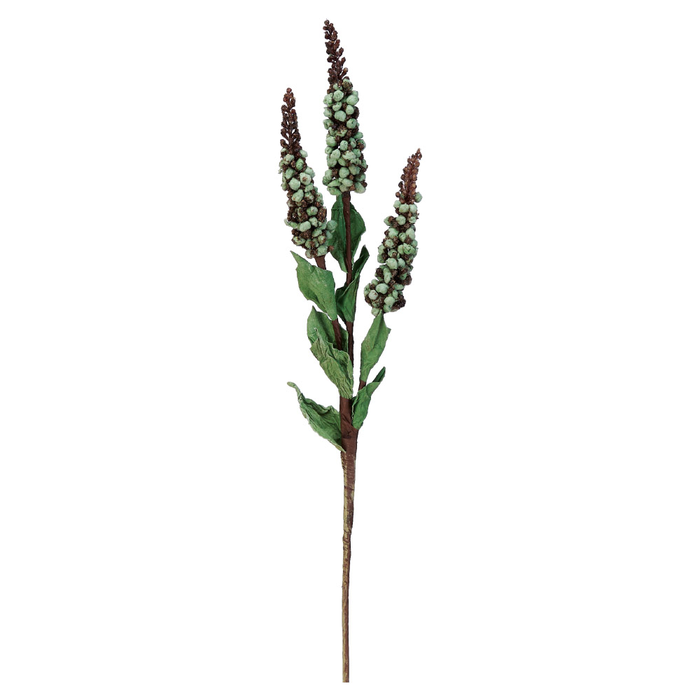 A-43602 ドライタッチベリー