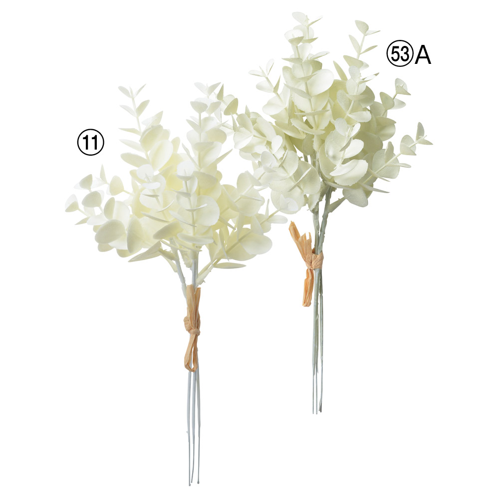 A-43856 ミニユーカリバンチ（１束３本）