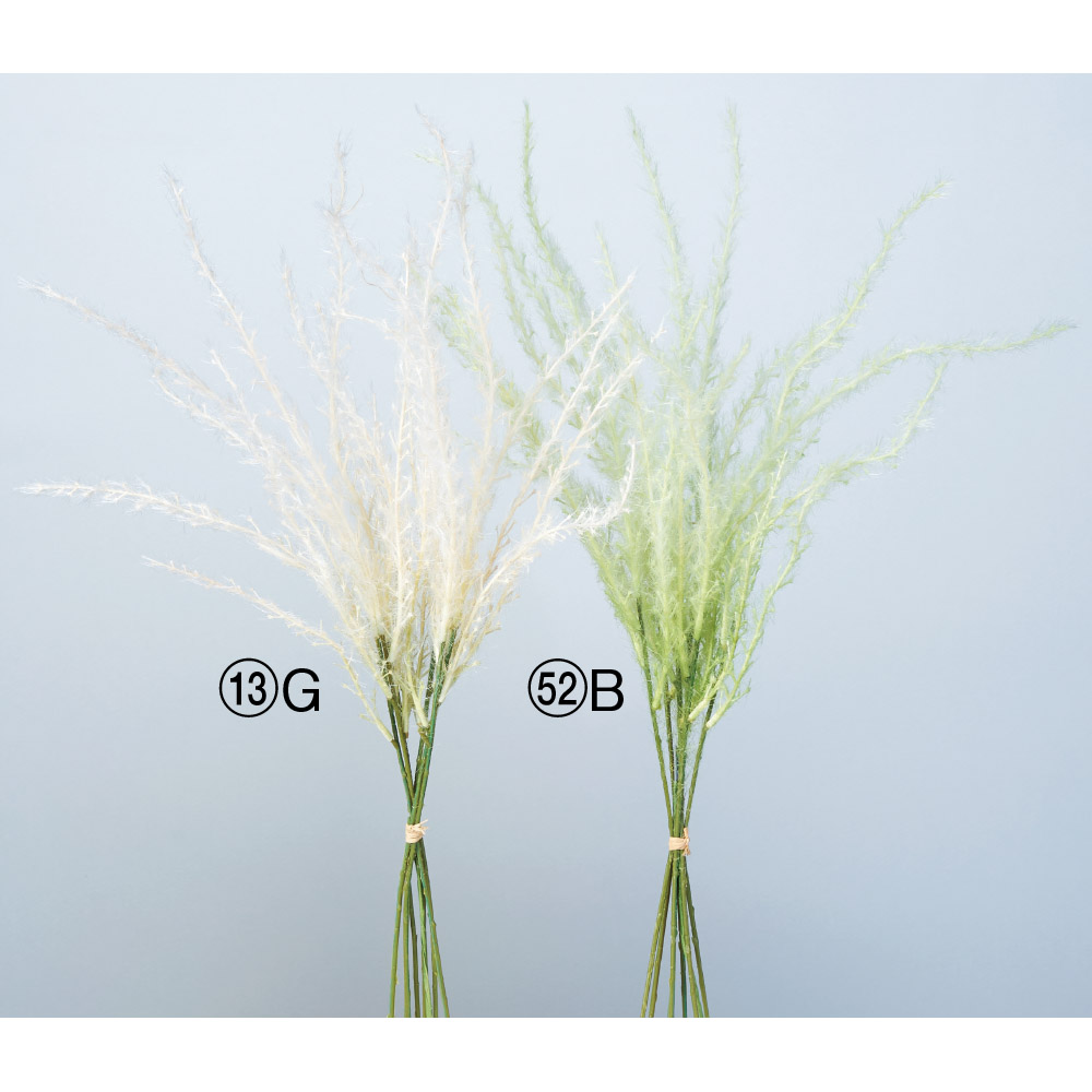 A-43865 パンパスバンチ（１束６本）