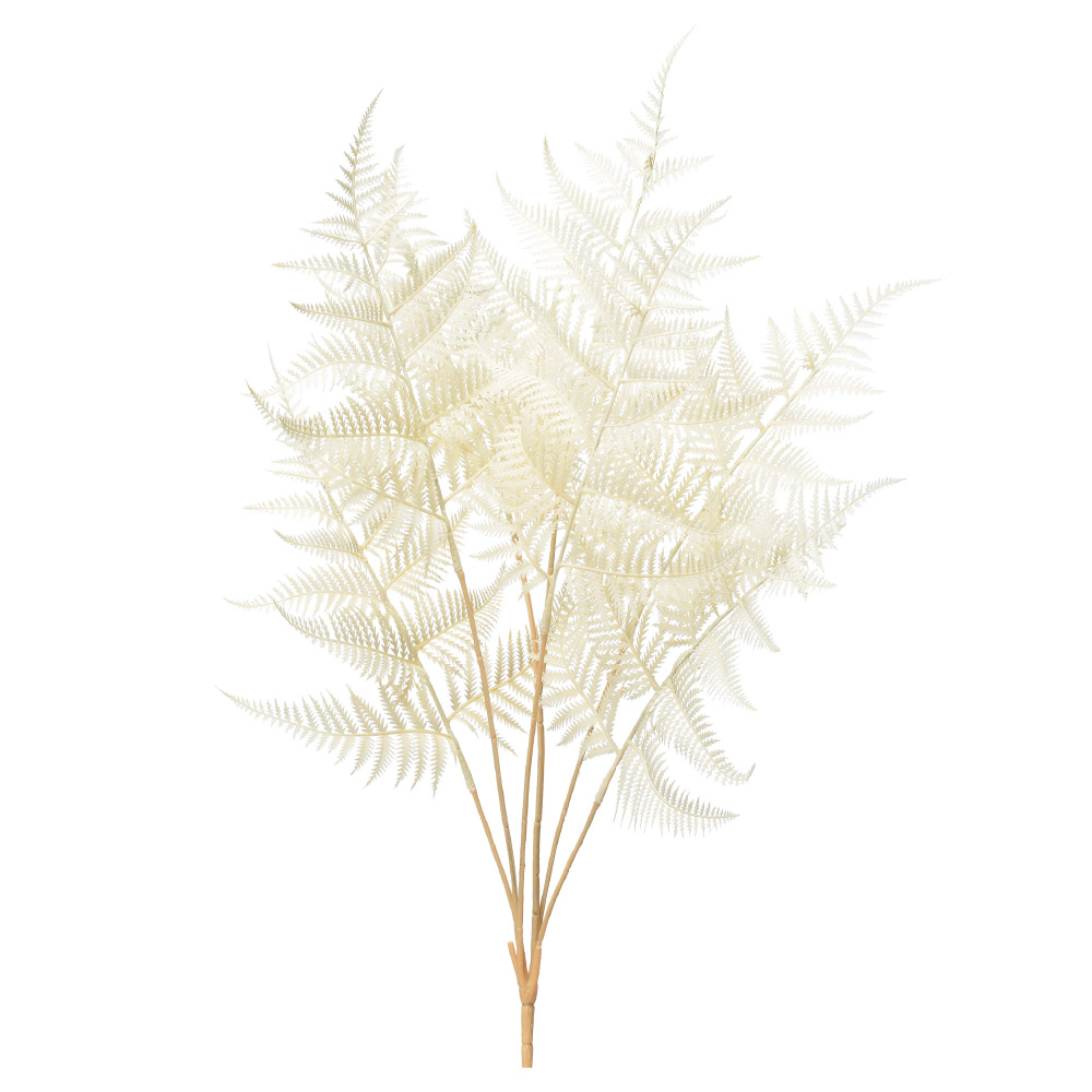 A-43949 ファーンブッシュ