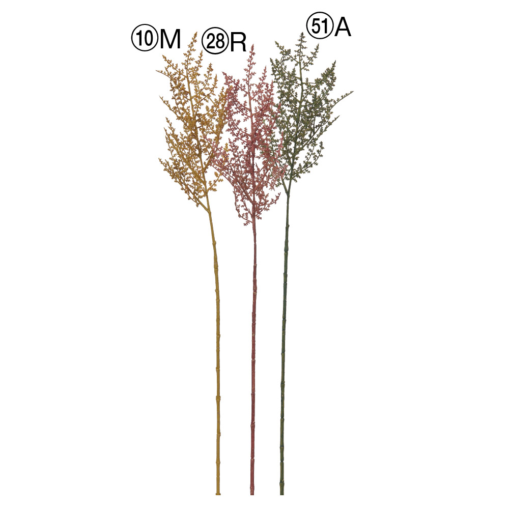A-44007 アランカススプレー（ゴールドブラッシュ）