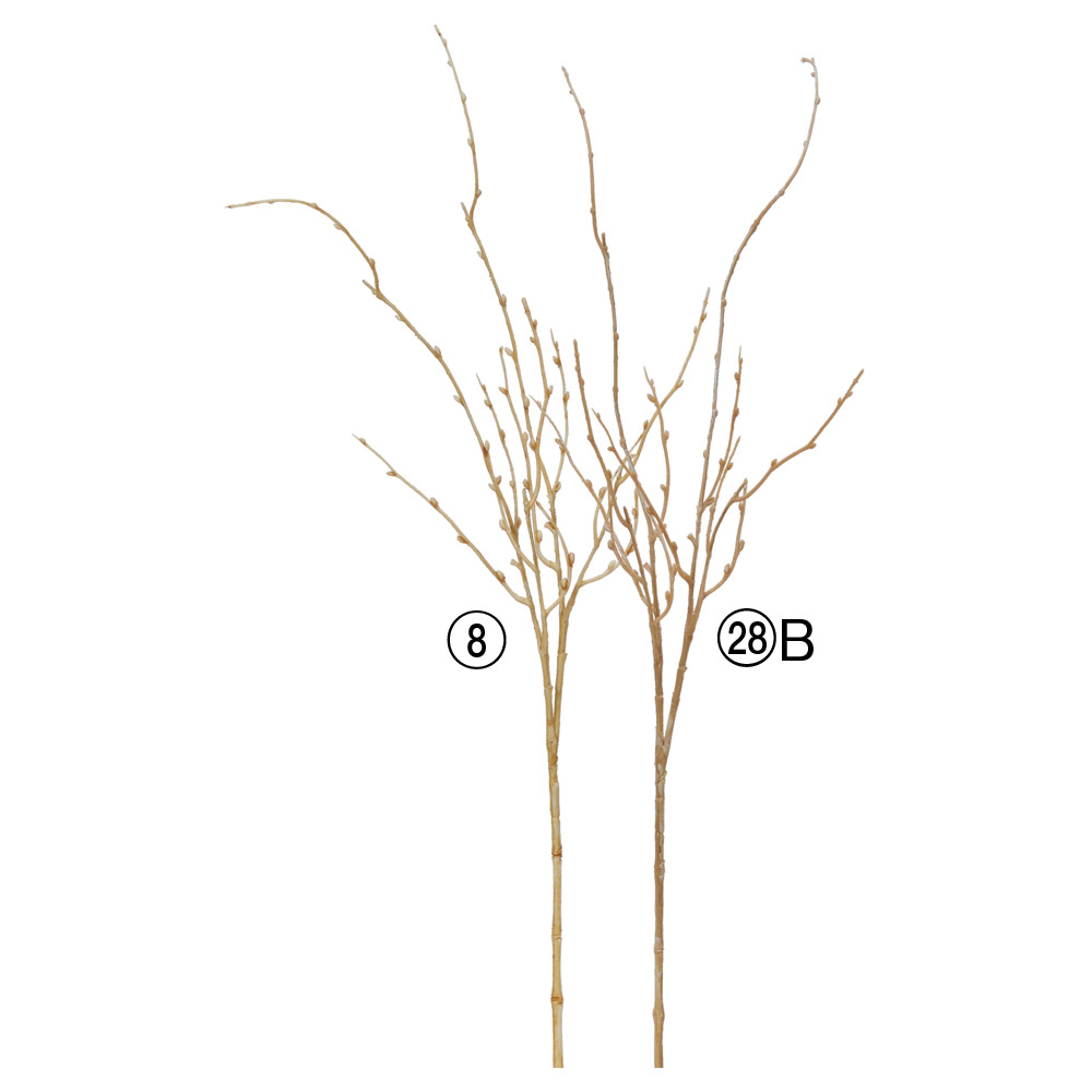 A-44013 ウィロー