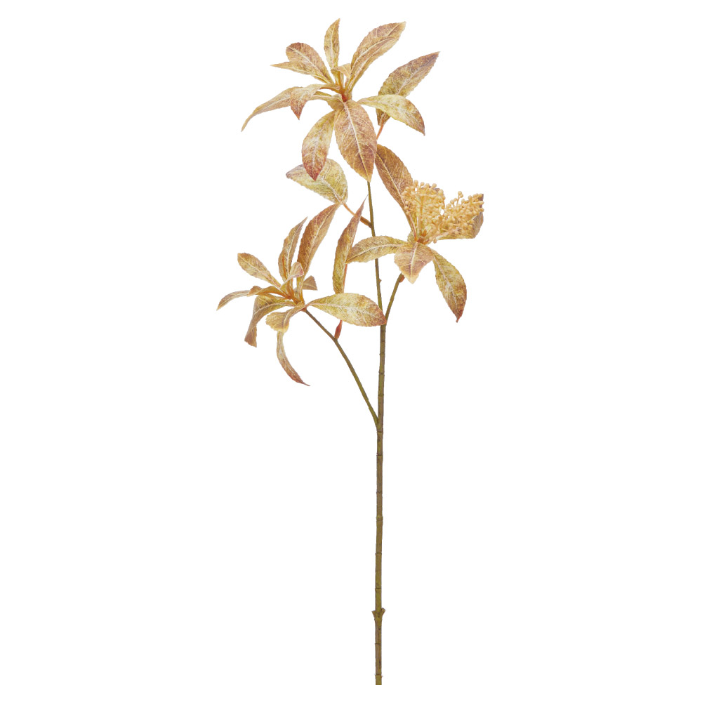 A-44044 リーフスプレー