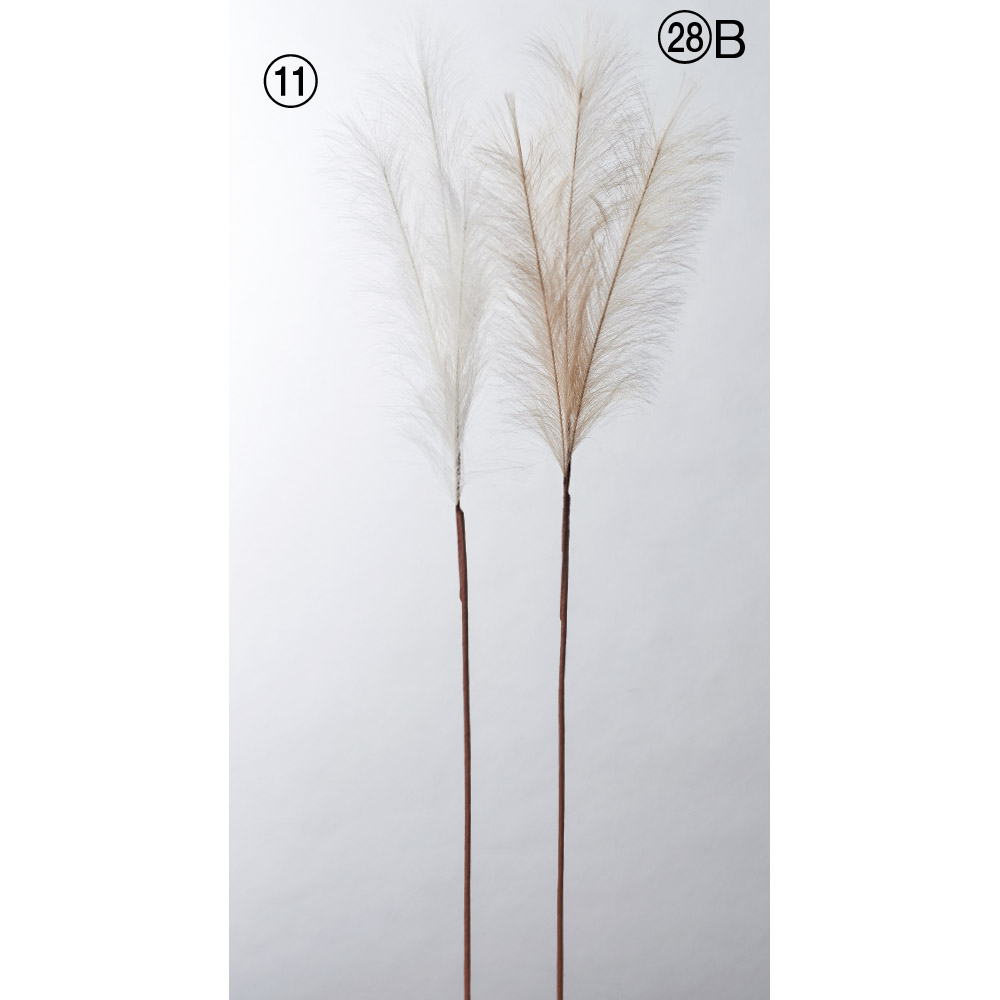 A-44064 パンパス