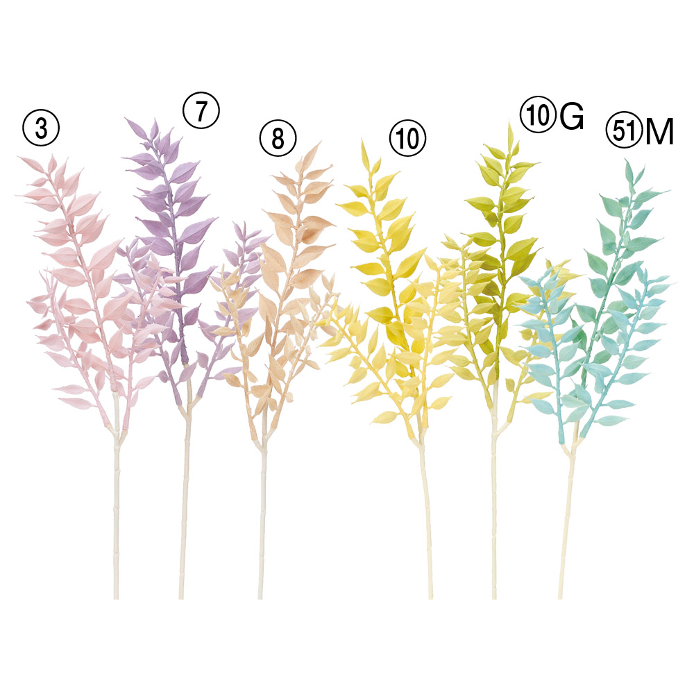 A-44112 ラスカス